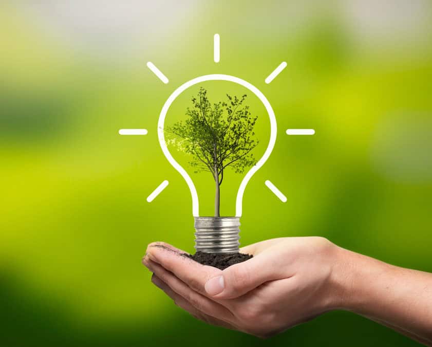 Five Brands Leading the Charge in Sustainability