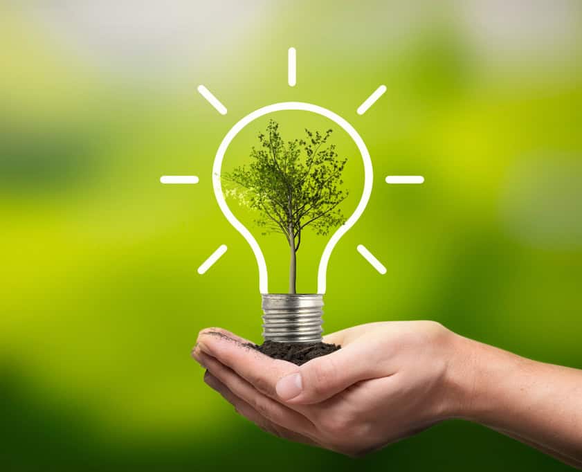 Sustainability